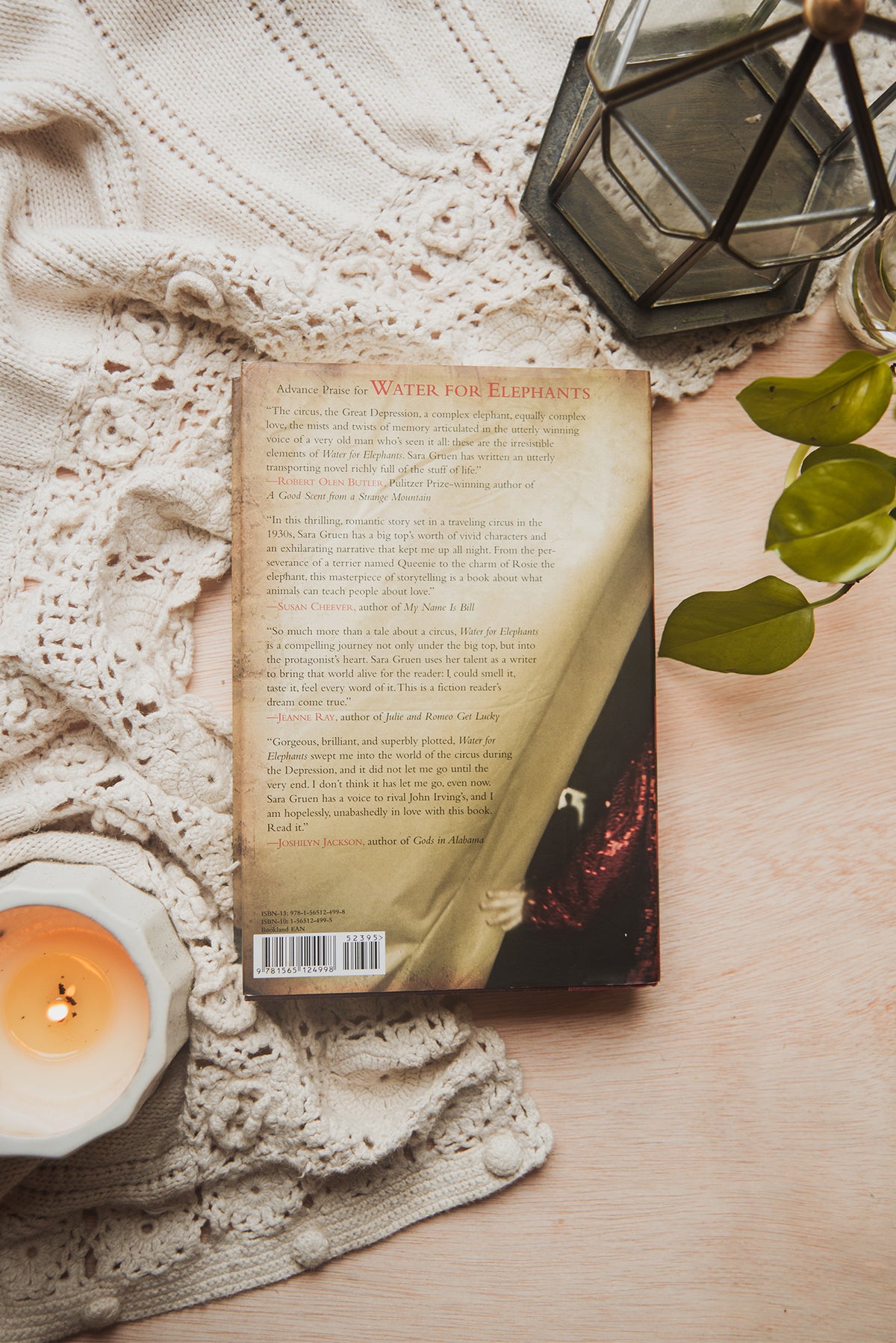 Water for Elephants by Sara Gruen