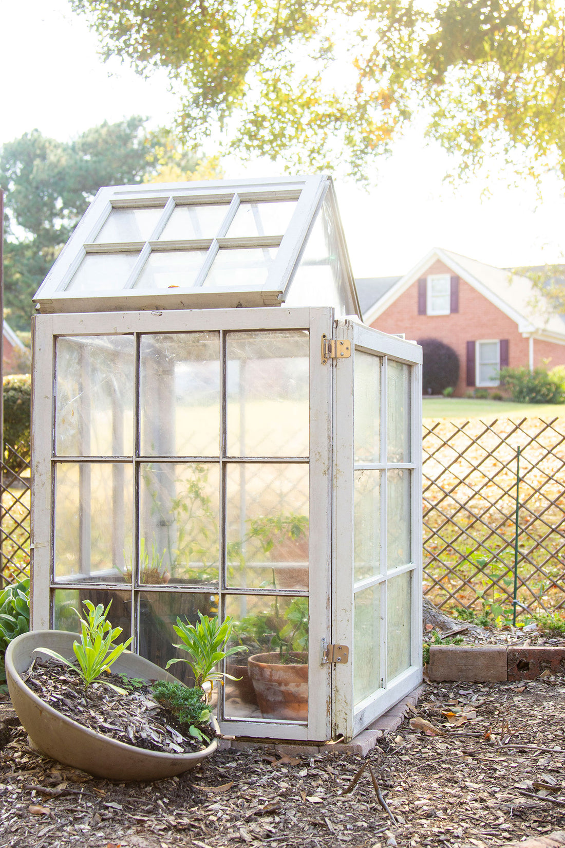 DIY Mini Window Greenhouse