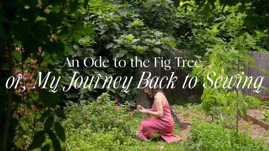 An Ode to the Fig Tree (Or, my Journey Back to Sewing)