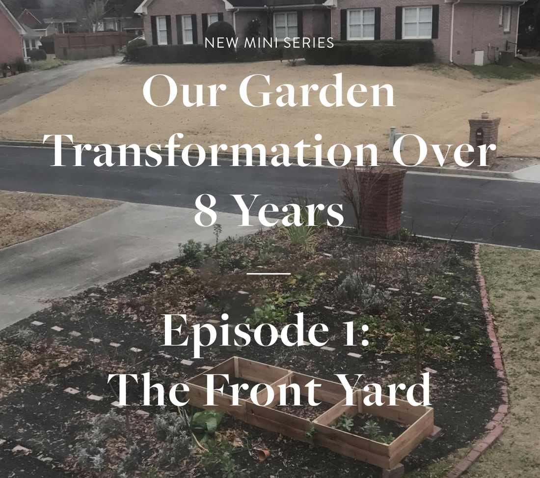 Our Garden Transformation Over 8 Years — Episode 1:  The Front Yard