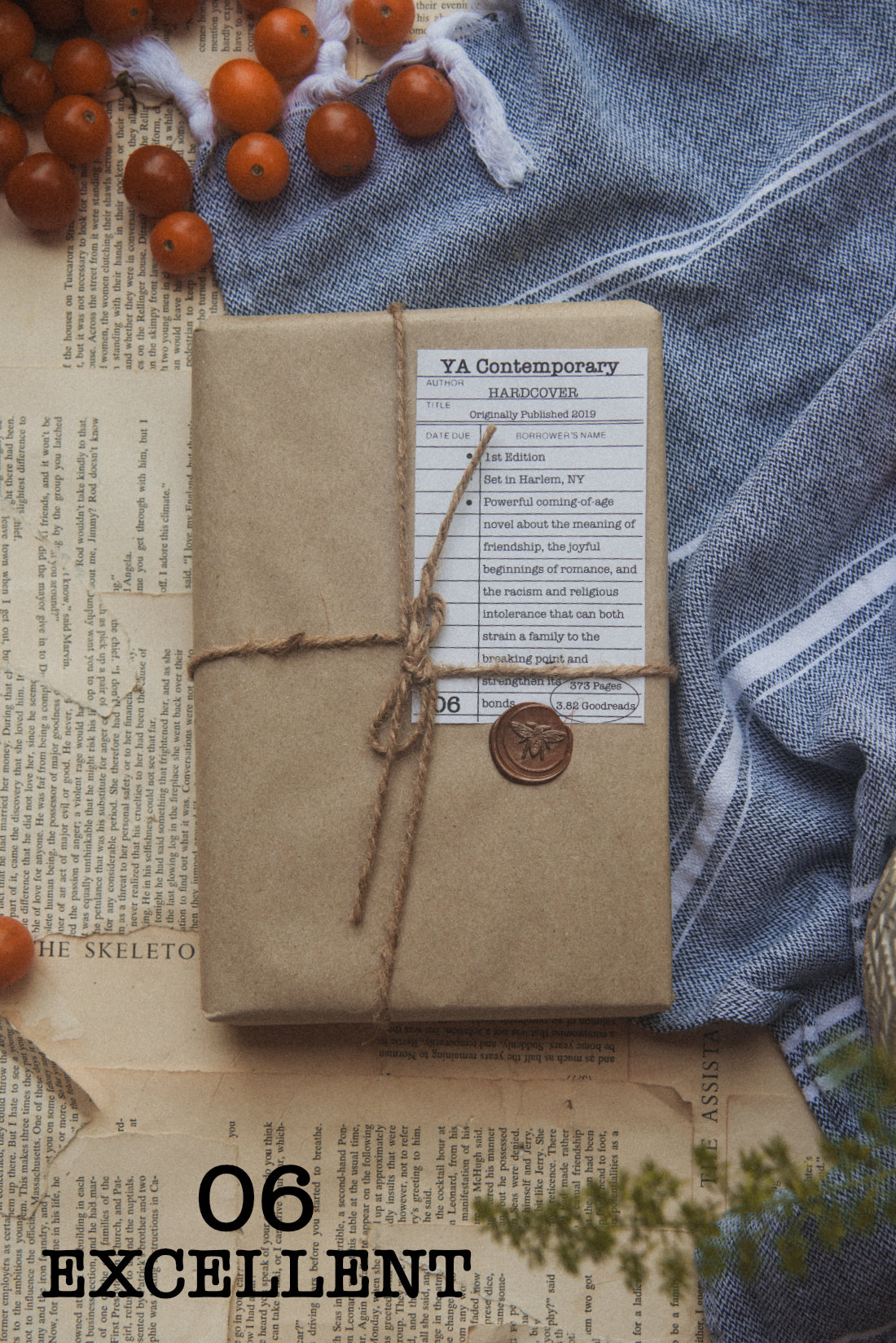 Surprise Date with a Book (YA General)