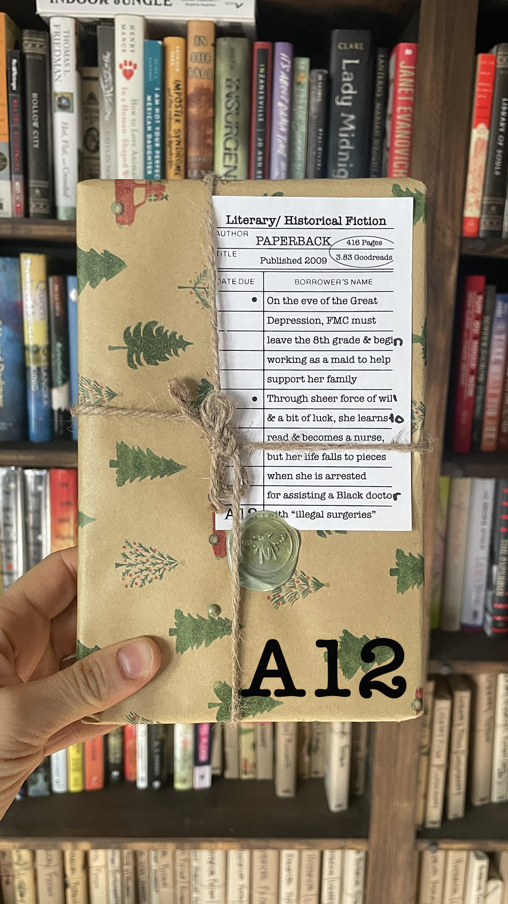 Surprise Date with a Book (Literary Fiction)