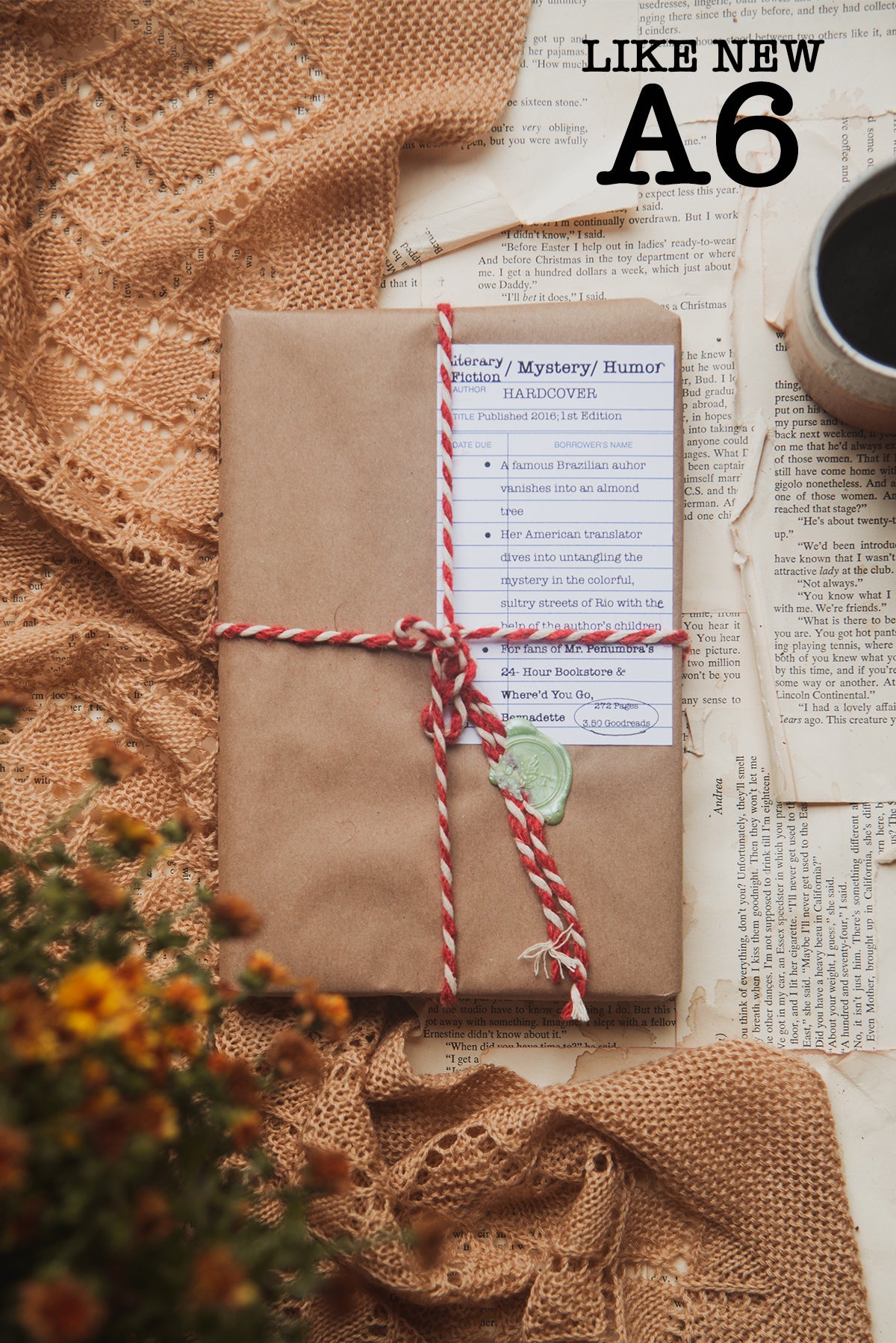 Surprise Date with a Book (Literary Fiction)