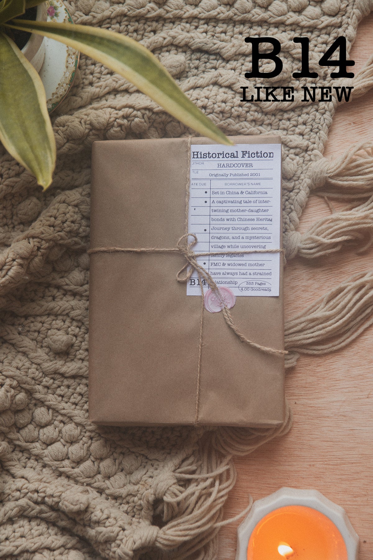 Surprise Date with a Book (Historical Fiction)