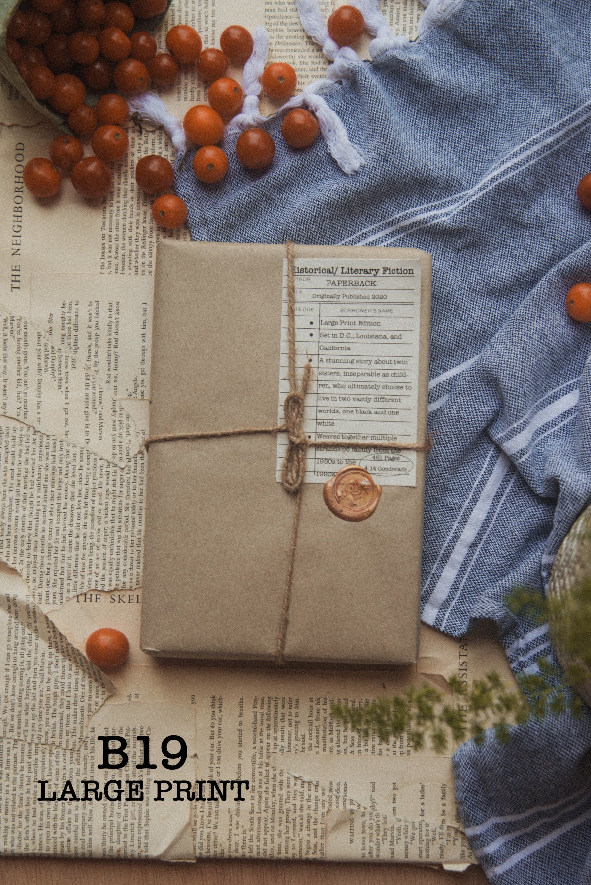 Surprise Date with a Book (Historical Fiction)
