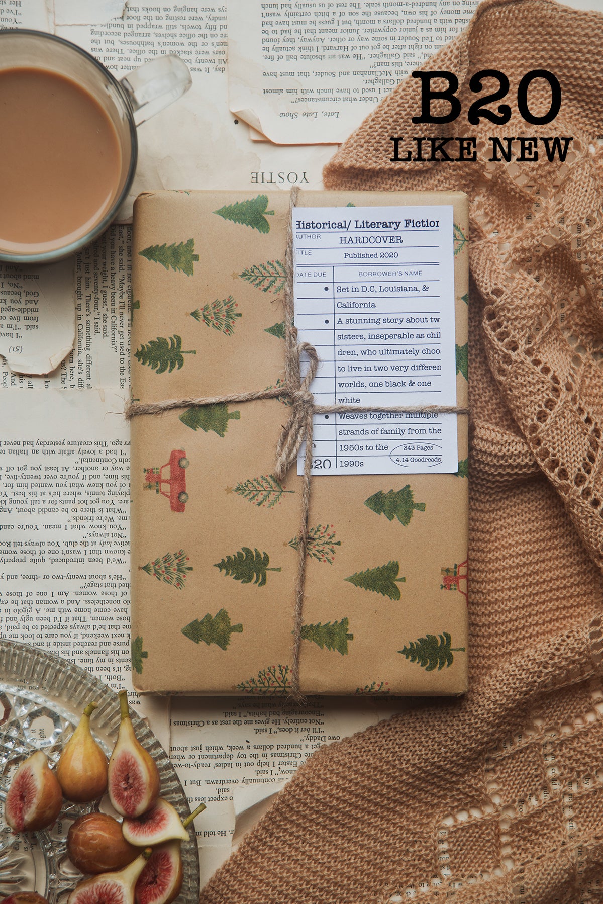 Surprise Date with a Book (Historical Fiction)
