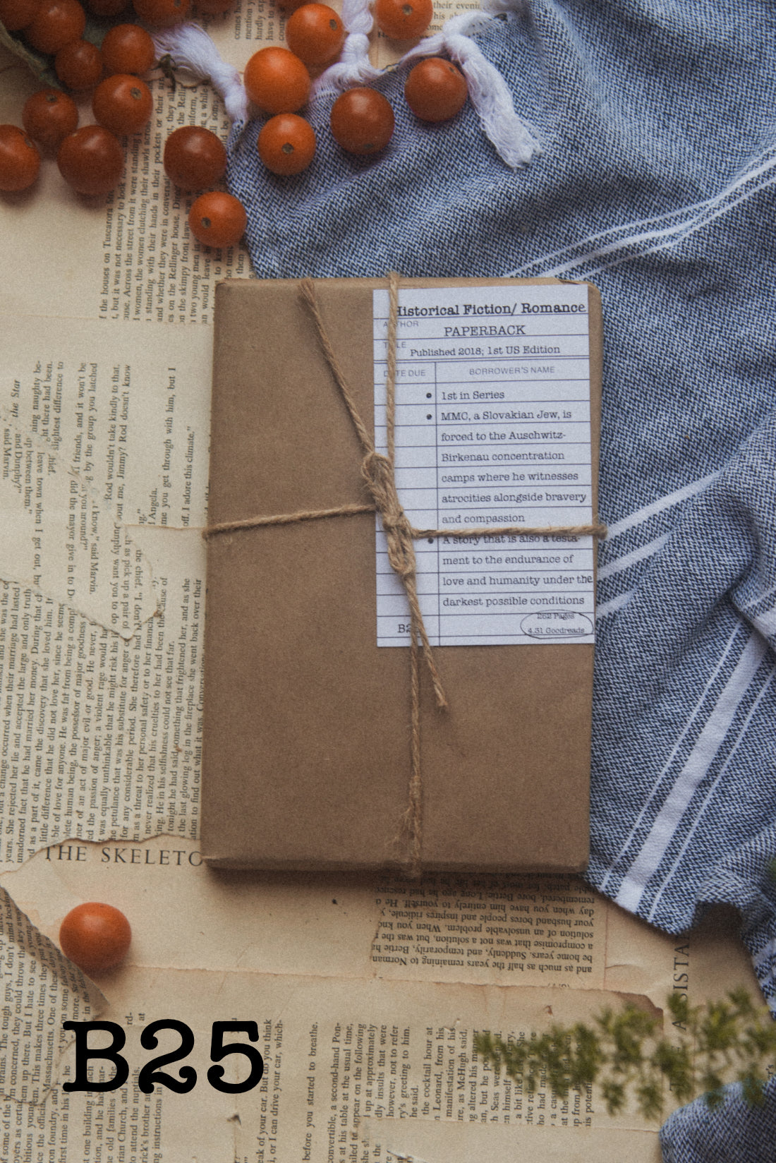 Surprise Date with a Book (Historical Fiction - WWI + WWII)
