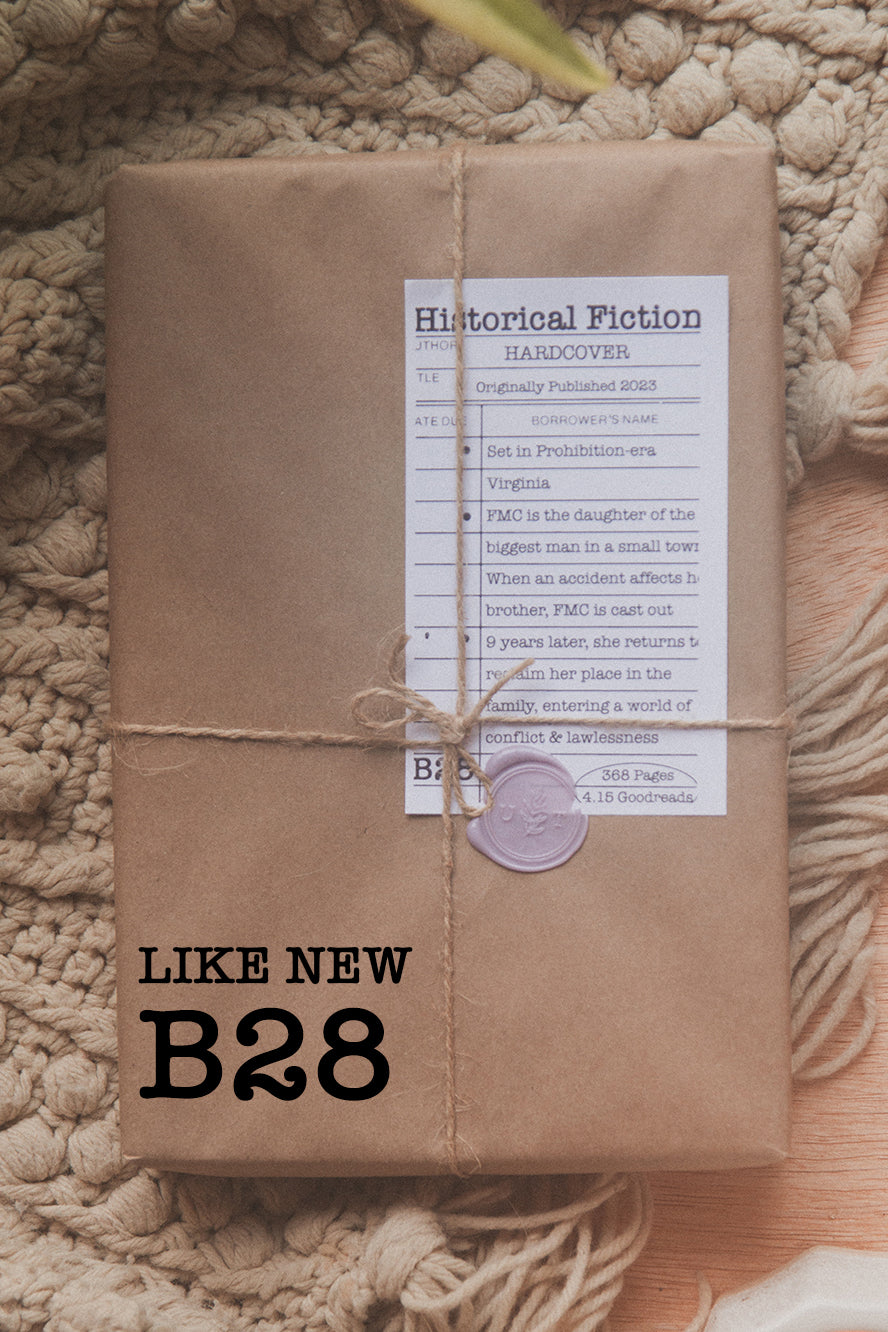 Surprise Date with a Book (Historical Fiction)