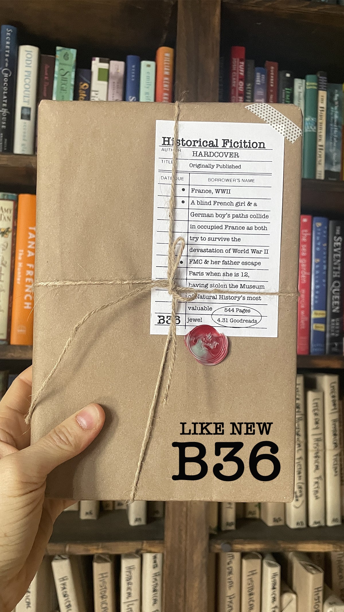 Surprise Date with a Book (Historical Fiction - WWI + WWII)