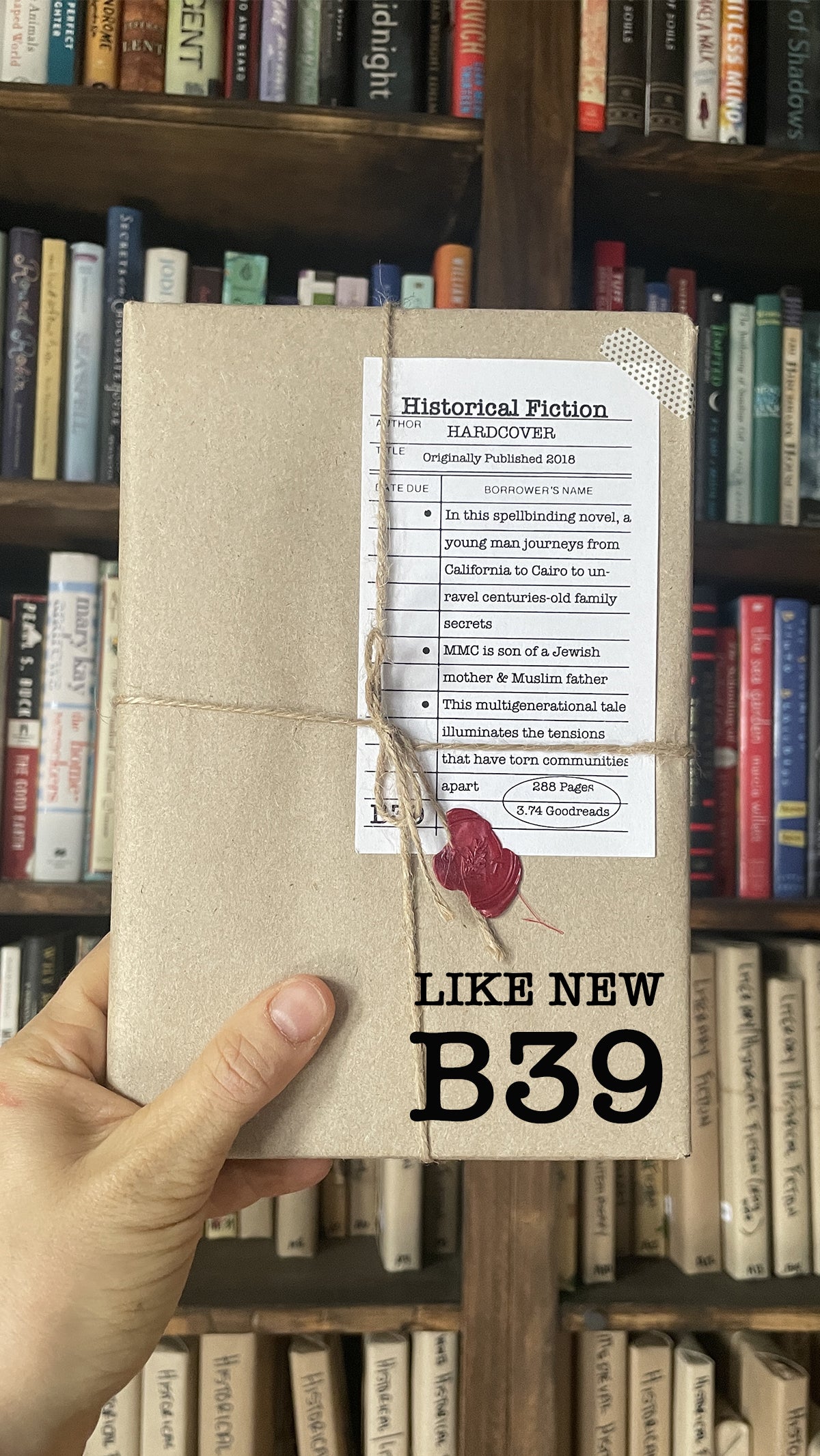 Surprise Date with a Book (Historical Fiction)