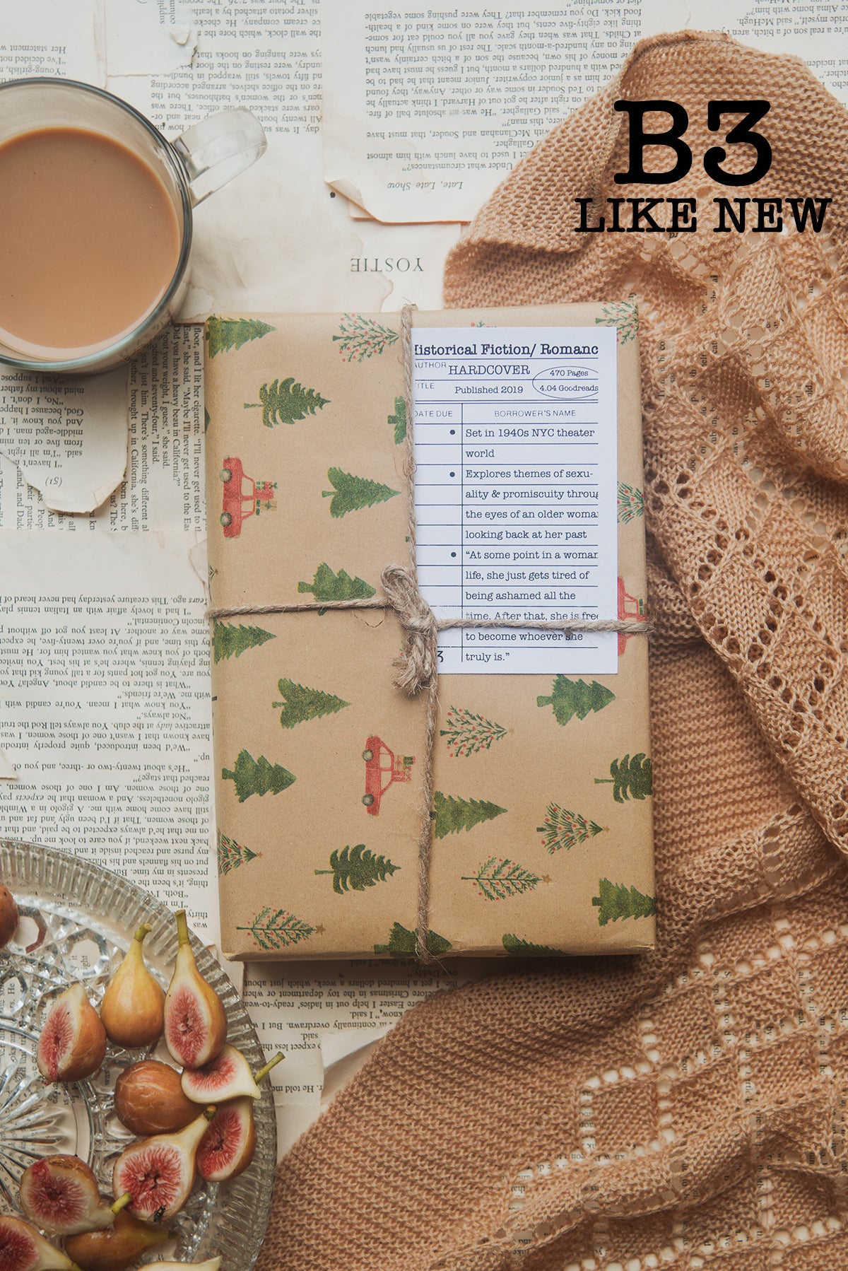 Surprise Date with a Book (Historical Fiction)