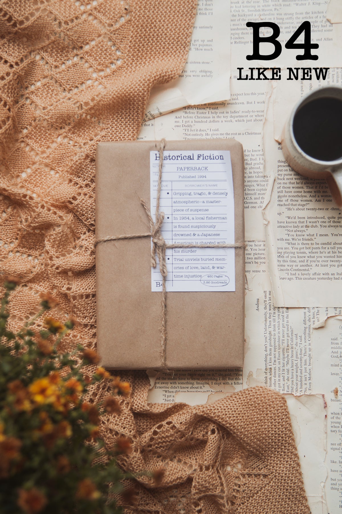 Surprise Date with a Book (Historical Fiction - WWI + WWII)