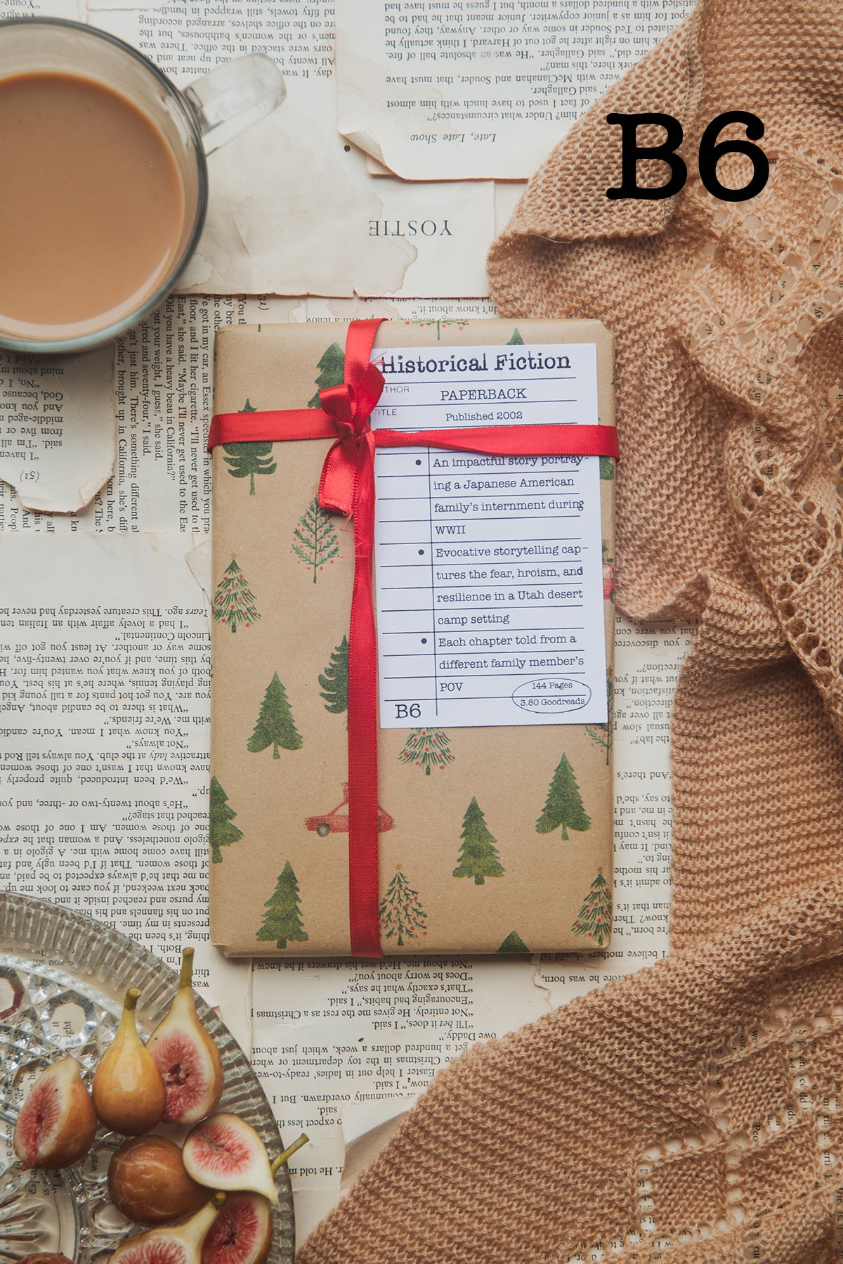 Surprise Date with a Book (Historical Fiction)