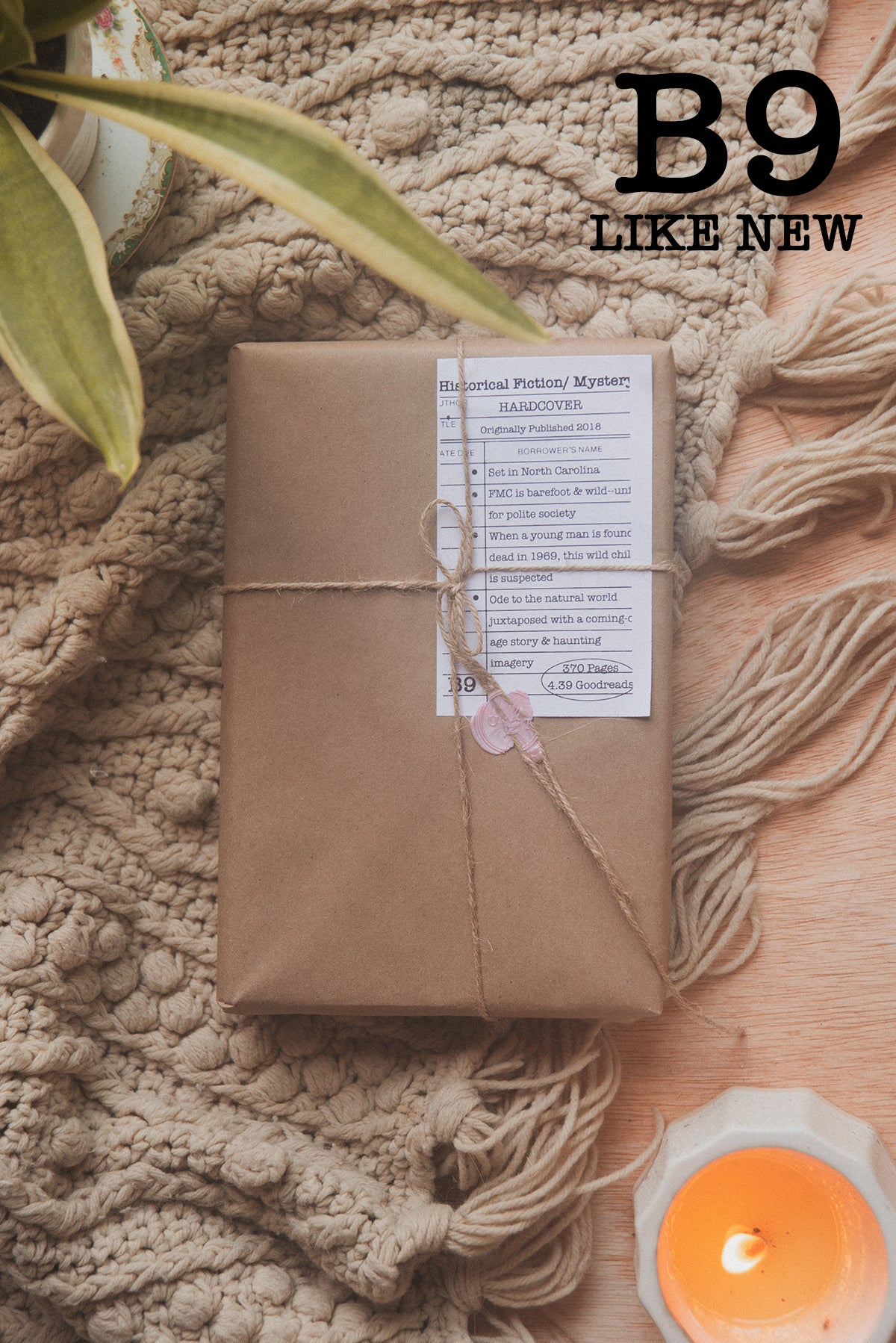 Surprise Date with a Book (Historical Fiction)
