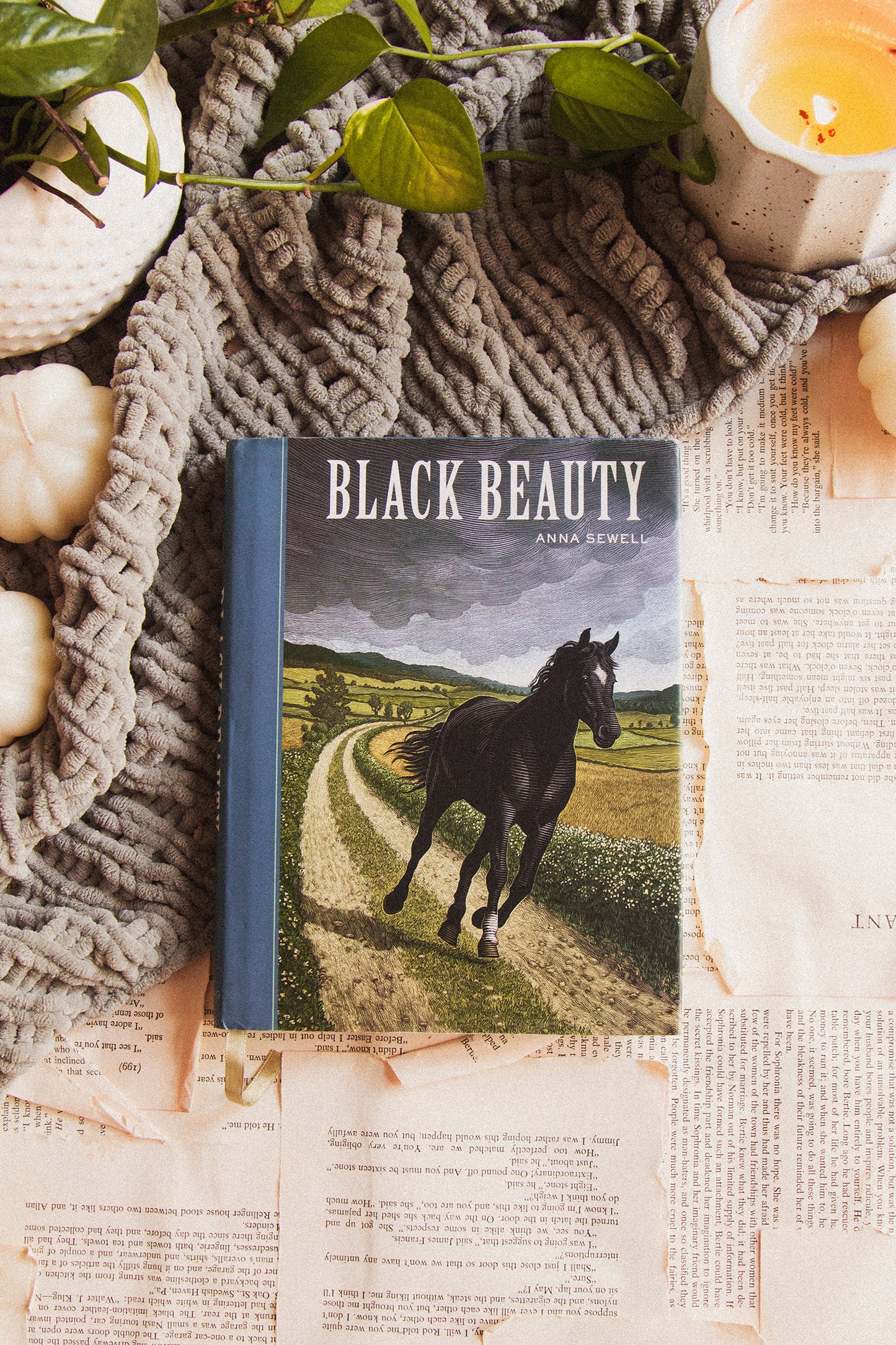 Black Beauty by Anna Sewell