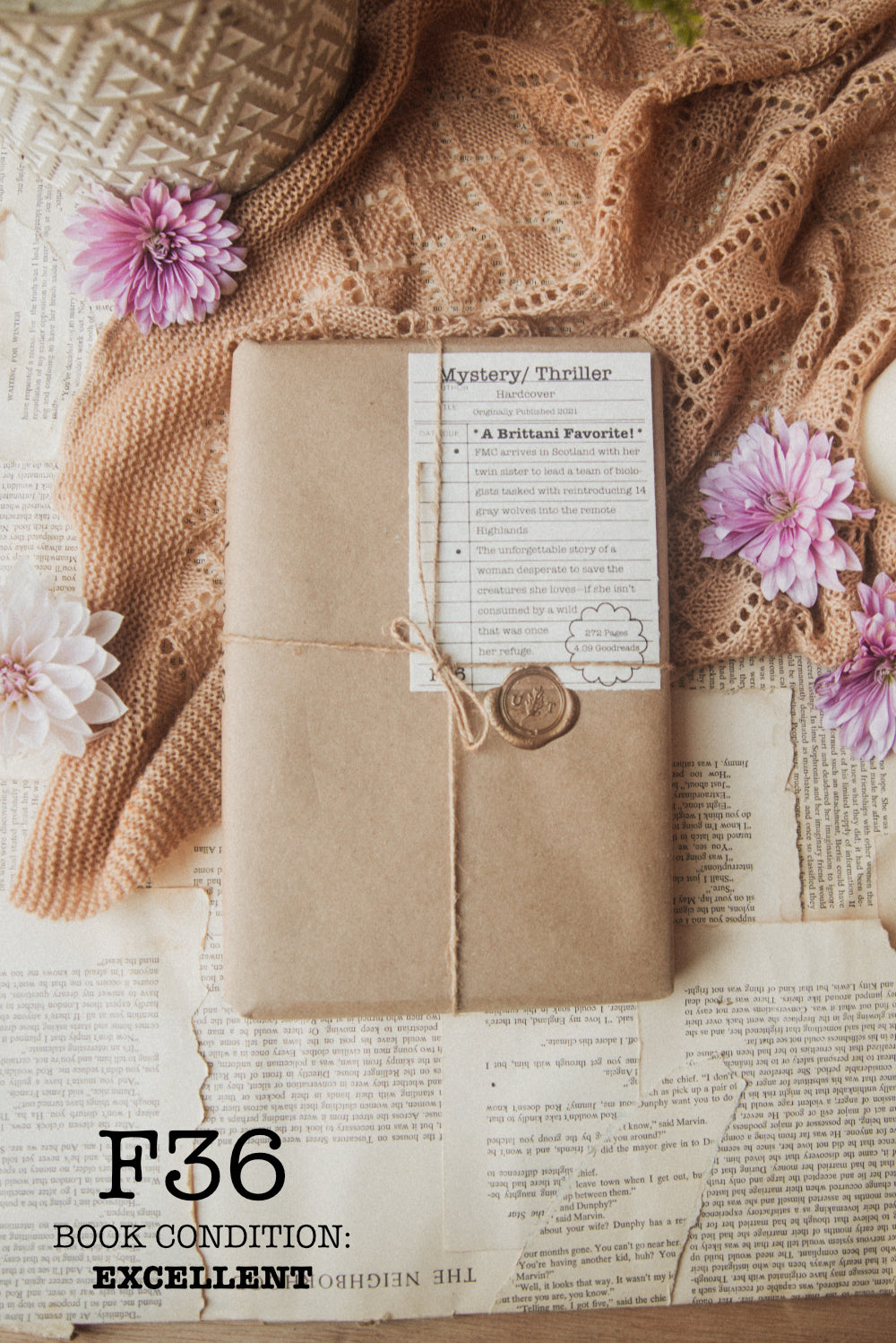 Surprise Date with a Book (Mystery/ Thriller)