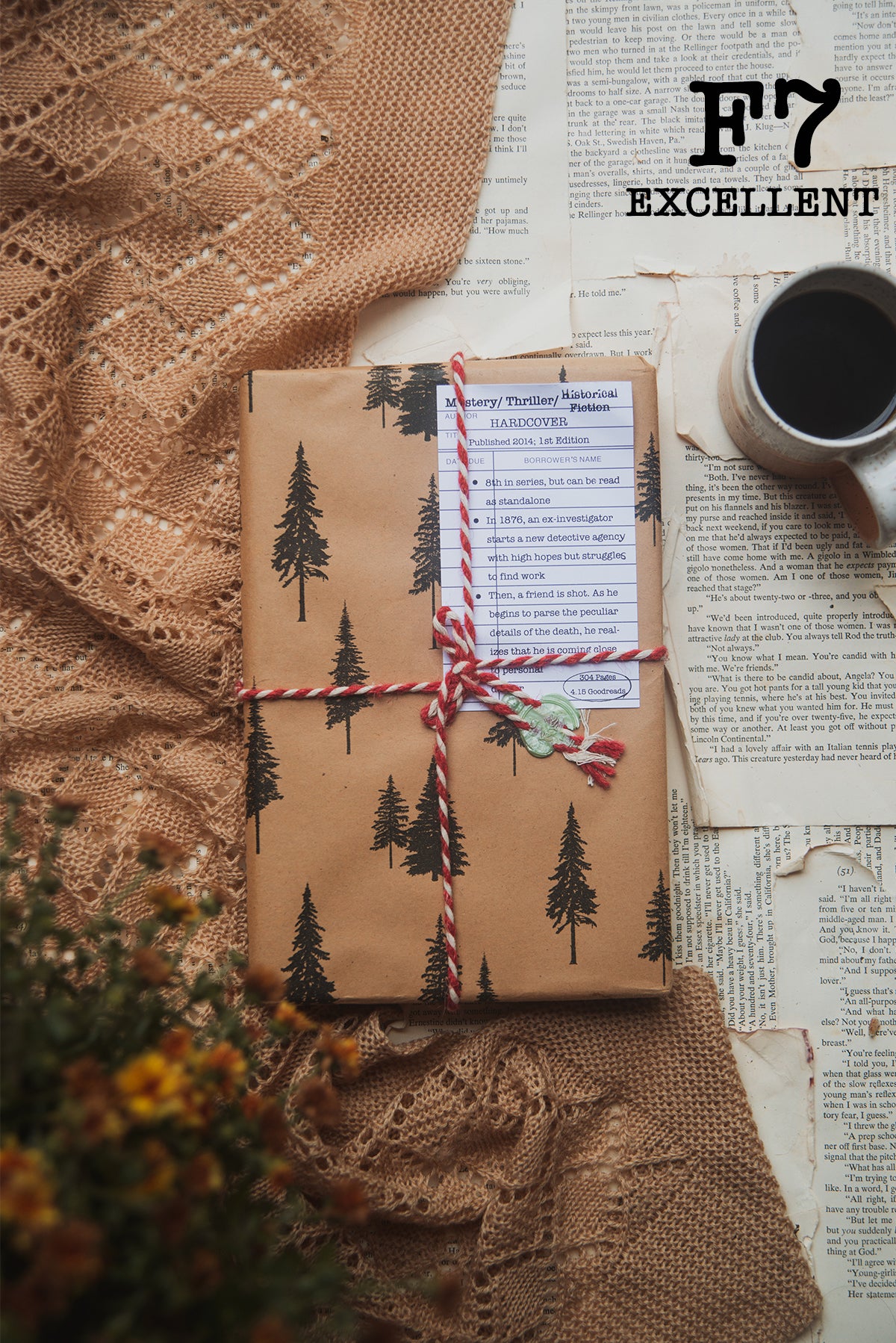 Surprise Date with a Book (Mystery/ Thriller)