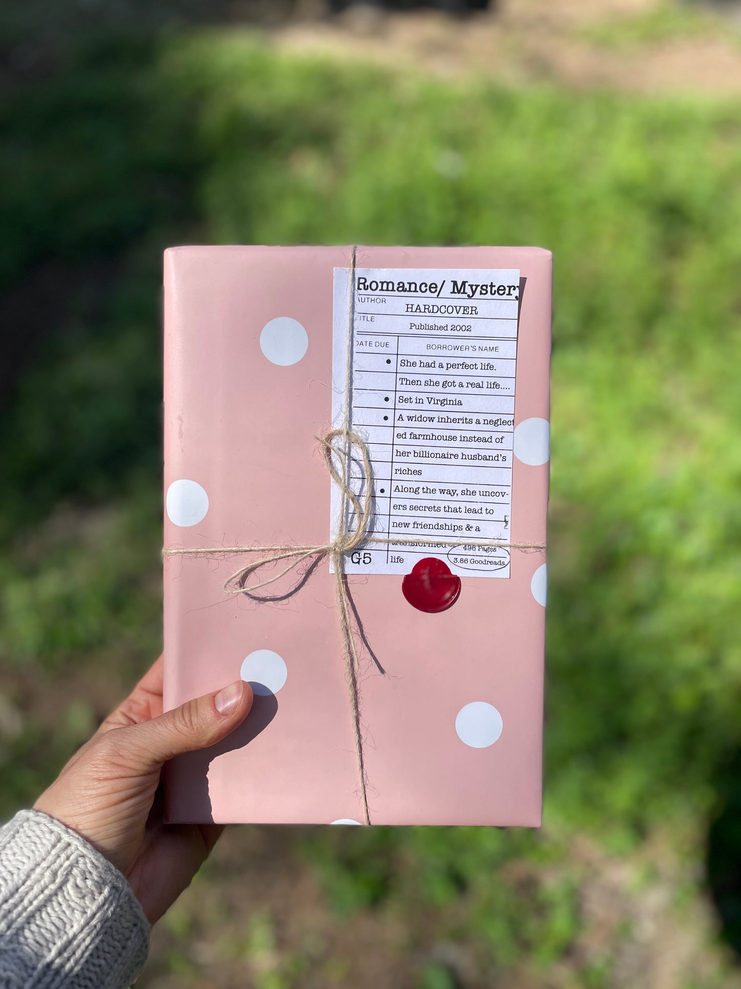 Surprise Date with a Book (Mystery/ Thriller)