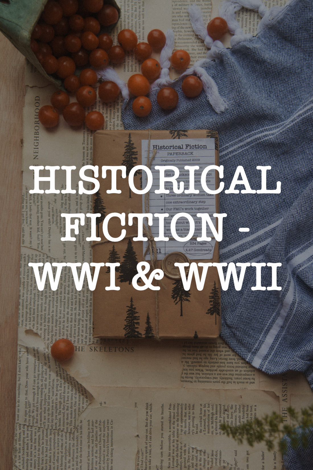 Surprise Date with a Book (Historical Fiction - WWI + WWII)