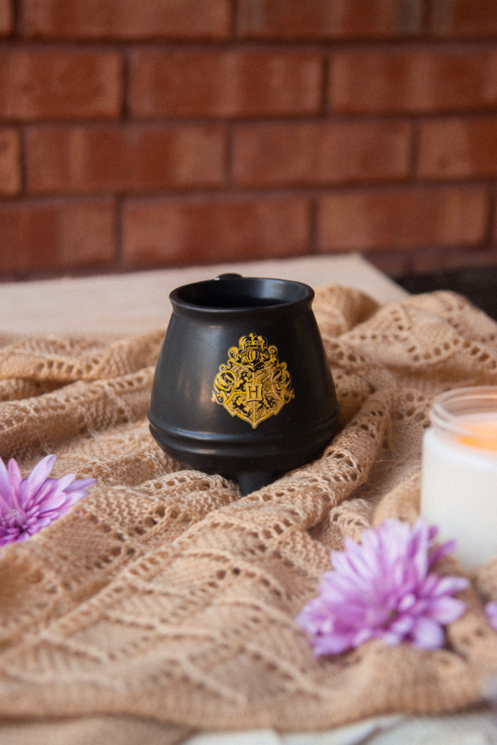 Harry Potter Cauldron Mug