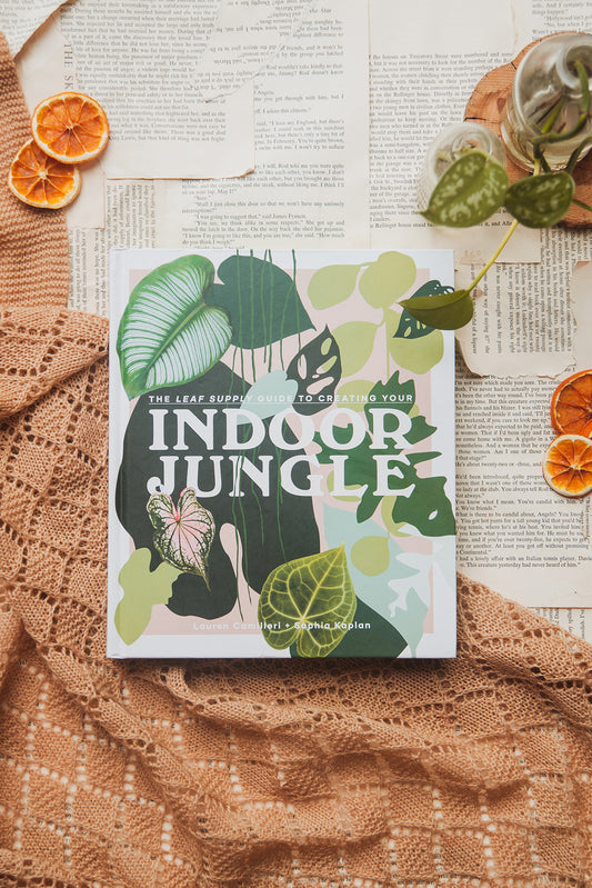 Indoor Jungle by Lauren Camilleri