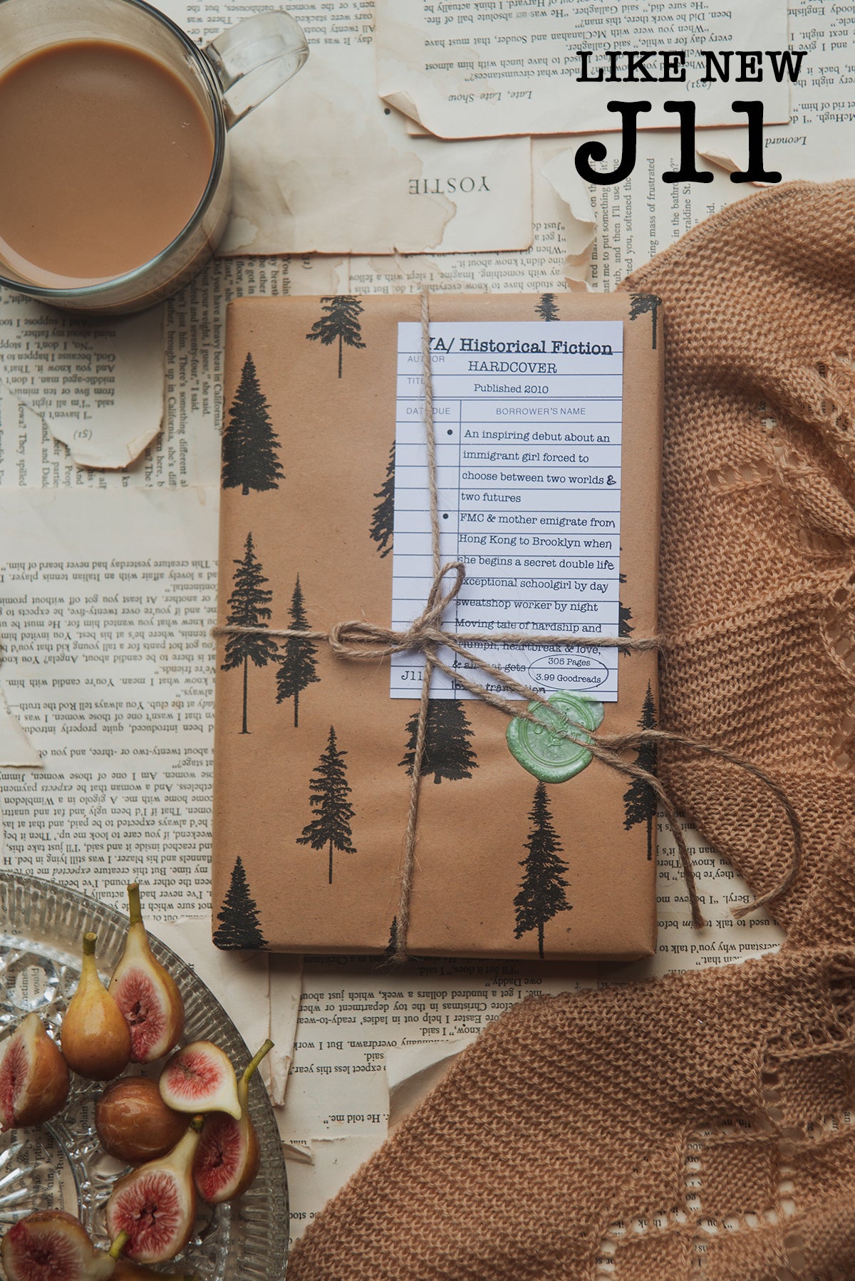 Surprise Date with a Book (Historical Fiction - YA)