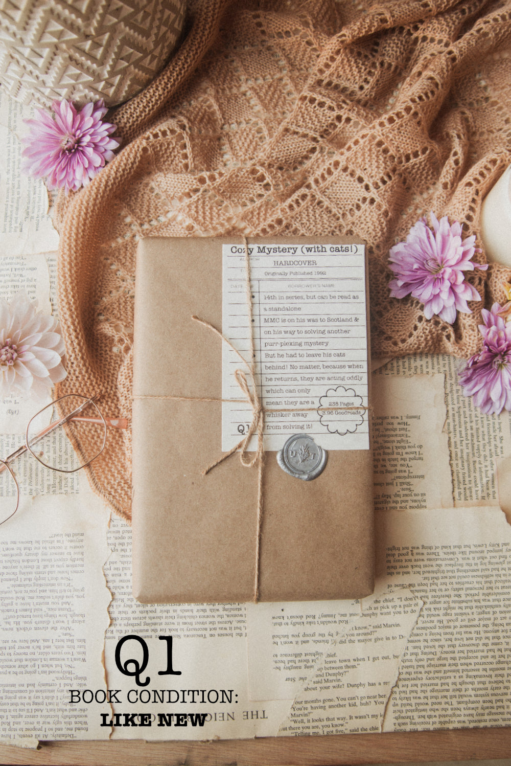 Surprise Date with a Book (Cozy)