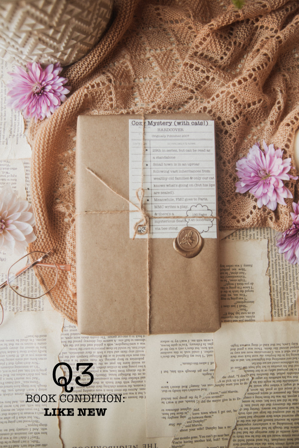Surprise Date with a Book (Cozy)