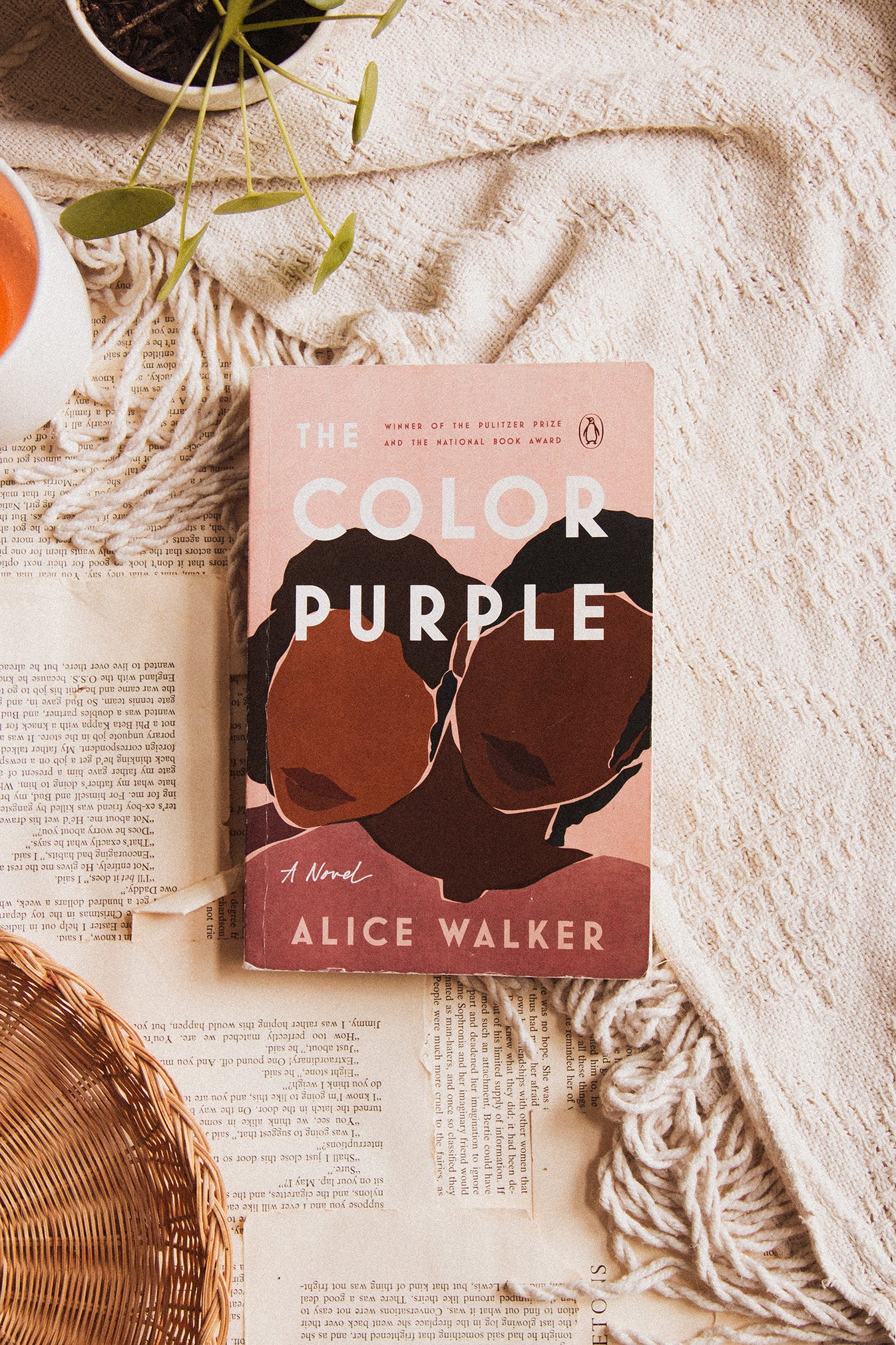 The Color Purple By Alice Walker – Untitled Thoughts