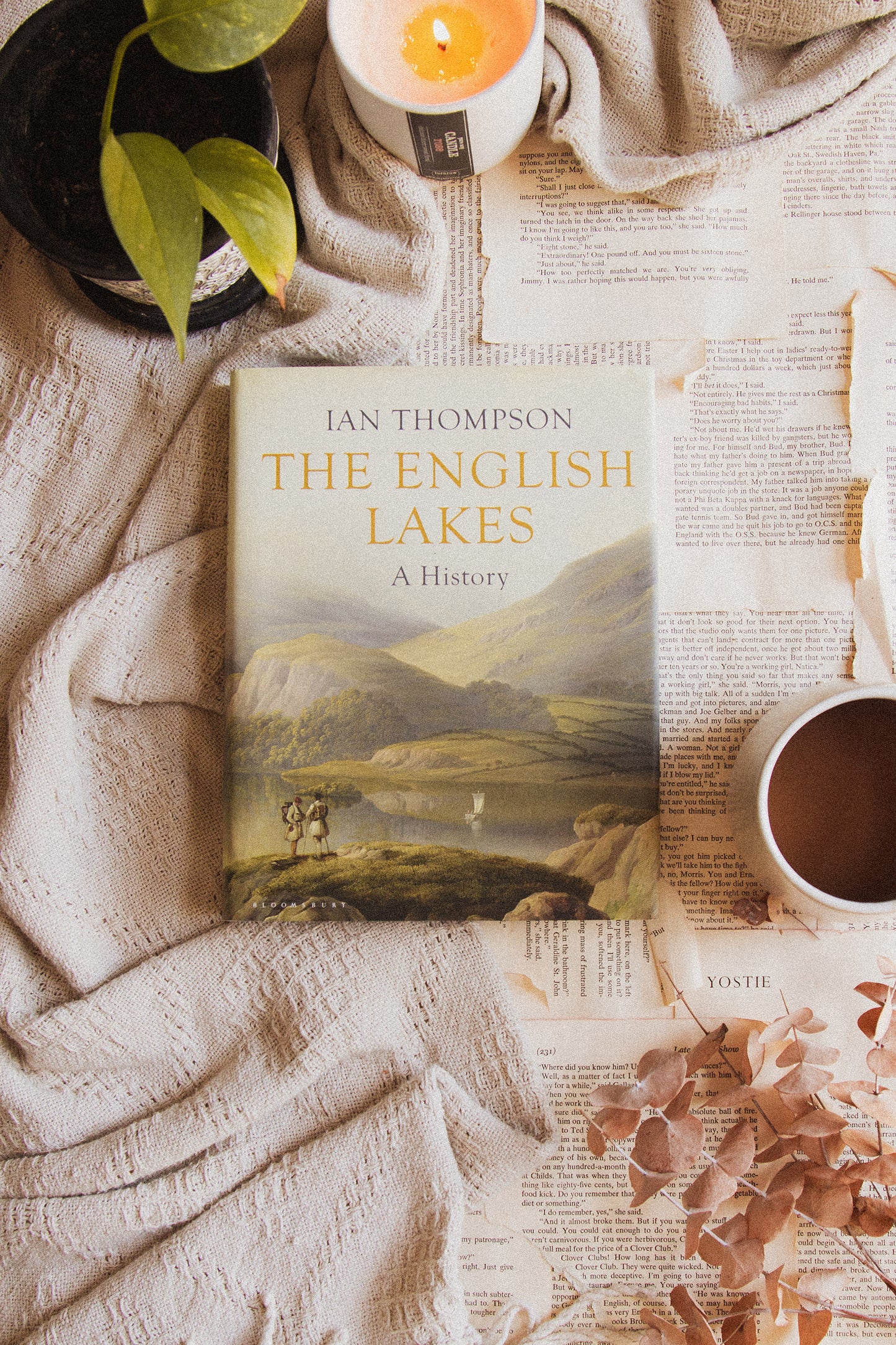 The English Lakes by Ian Thompson