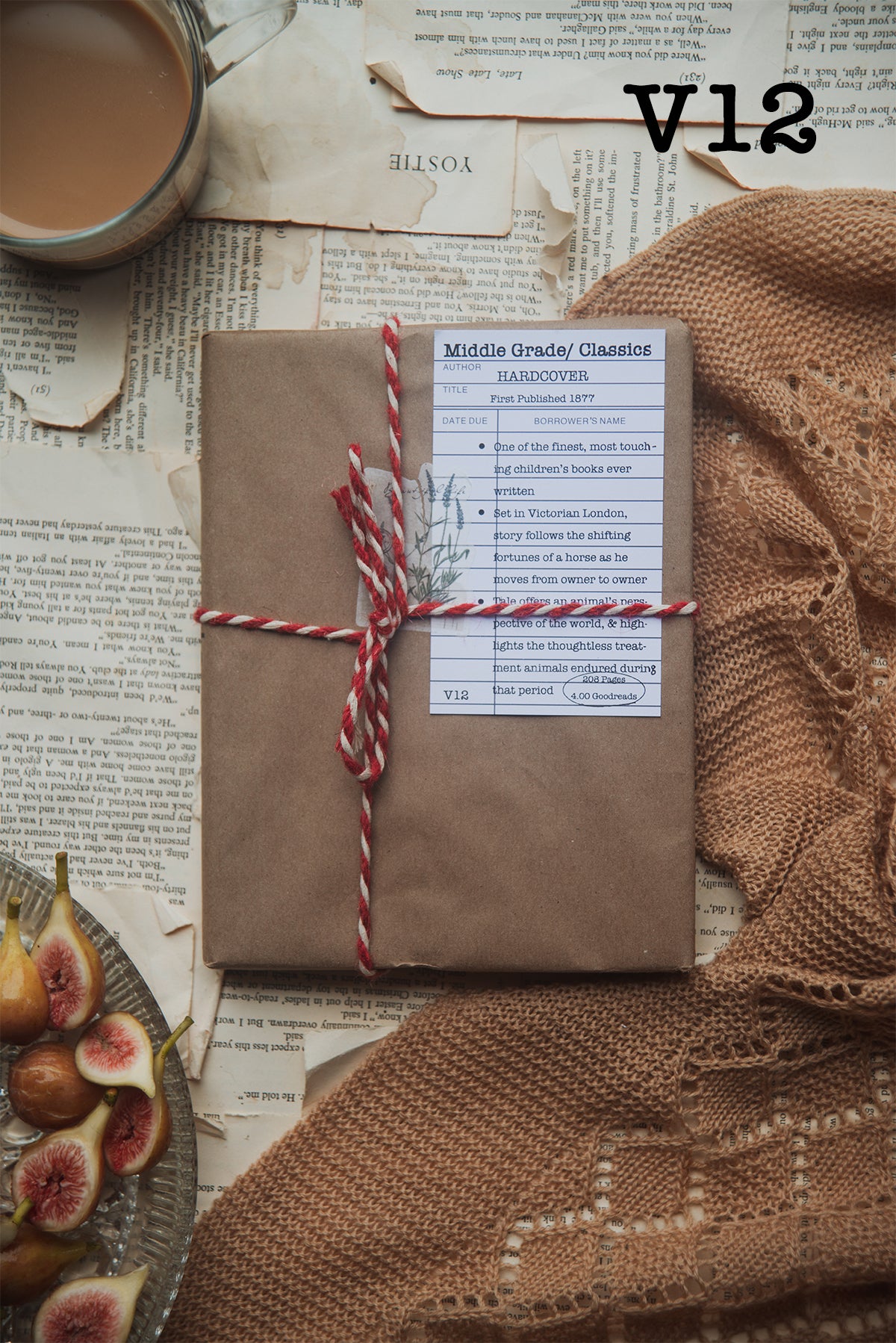 Surprise Date with a Book (Classics)