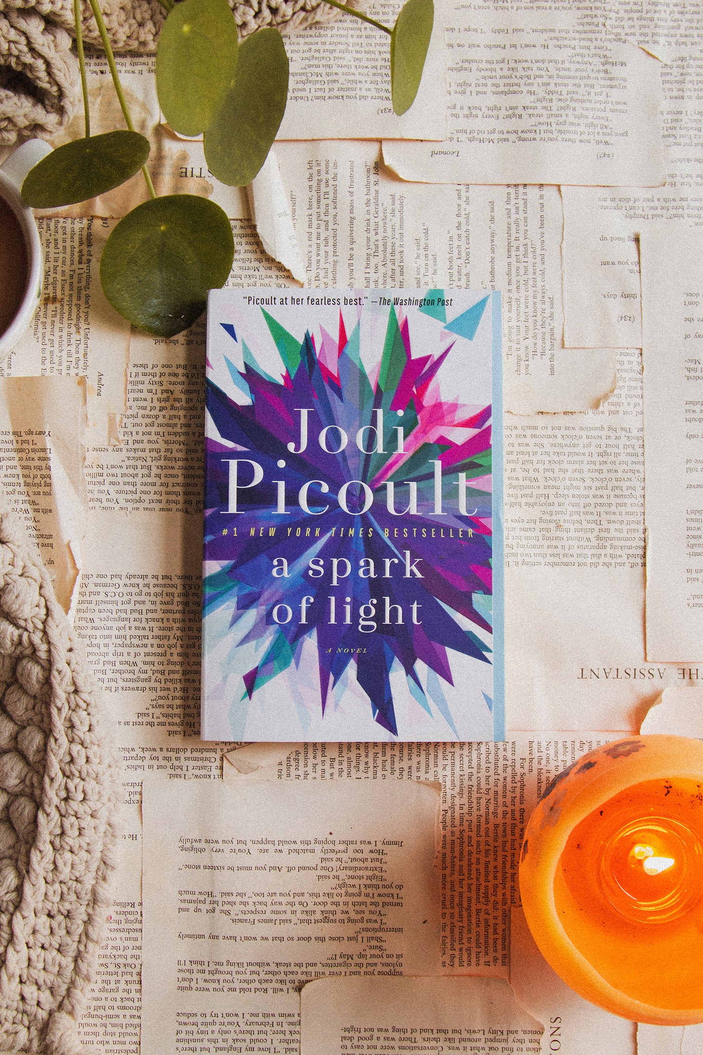 A Spark of Light by Jodi Picoult