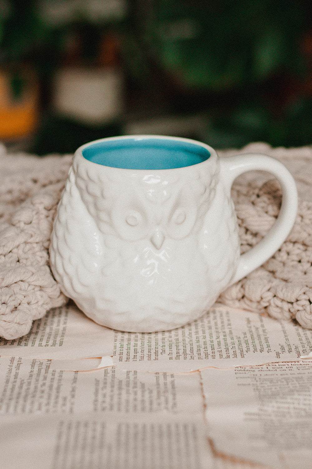 Owl Mug