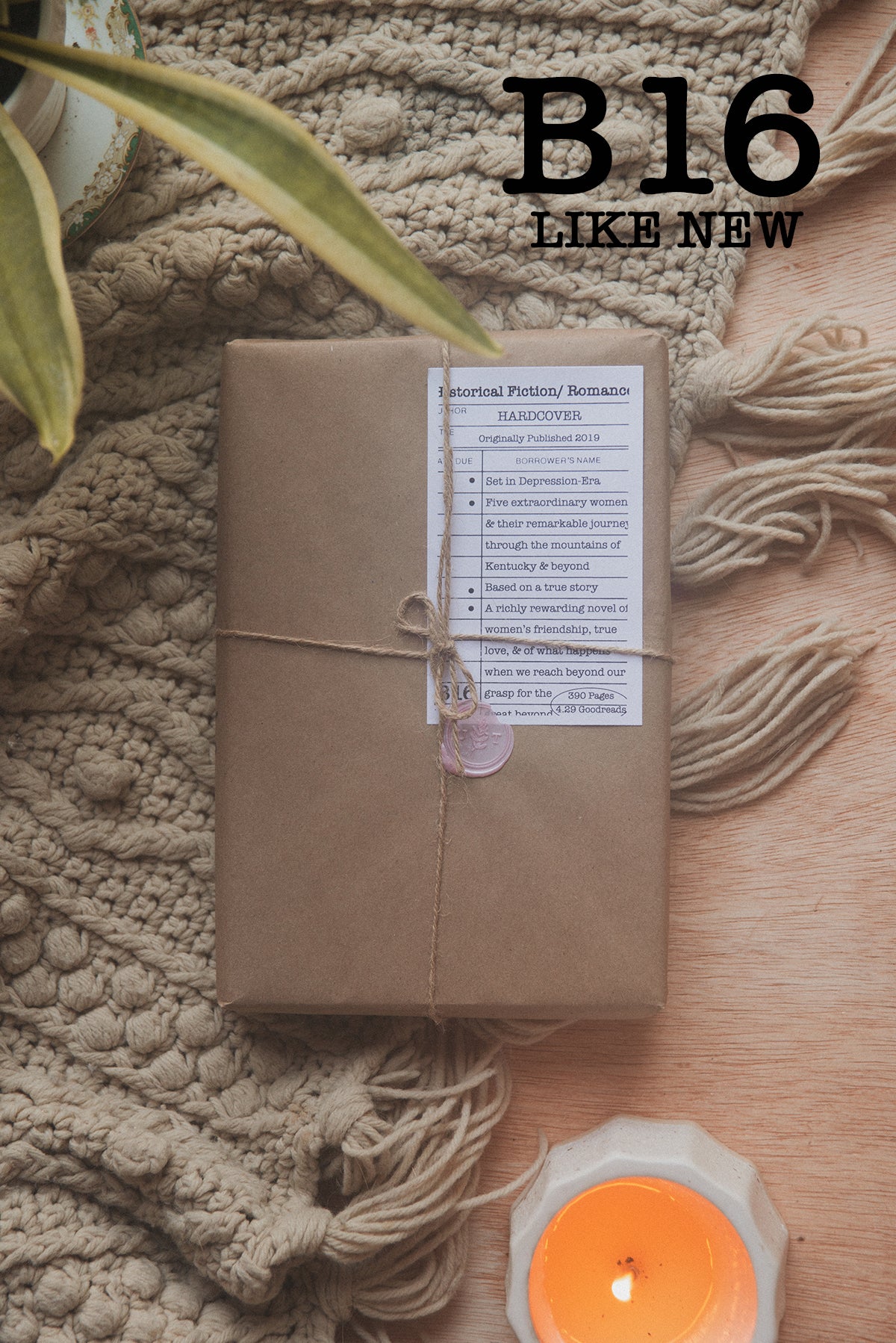 Surprise Date with a Book (Historical Fiction - Romance)