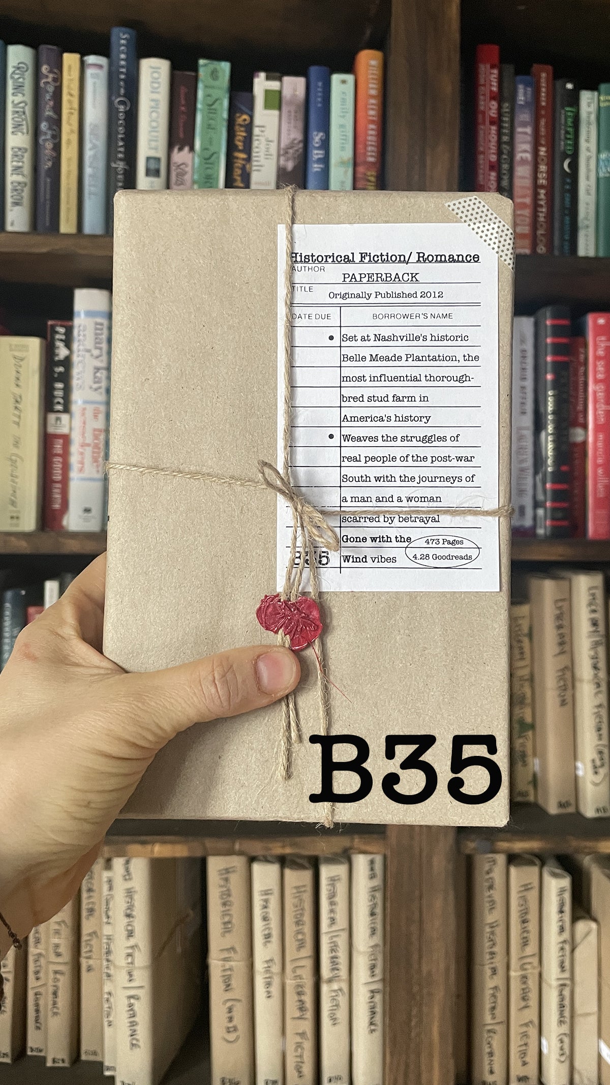 Surprise Date with a Book (Historical Fiction)