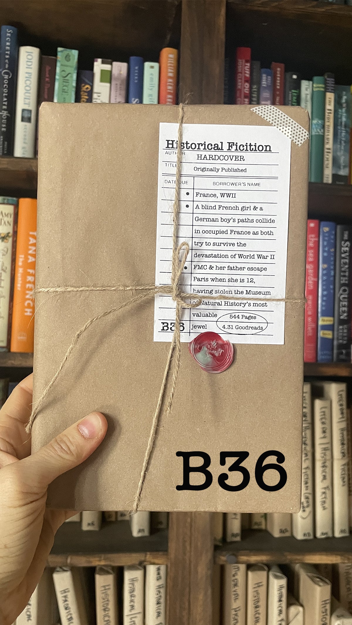 Surprise Date with a Book (Historical Fiction)