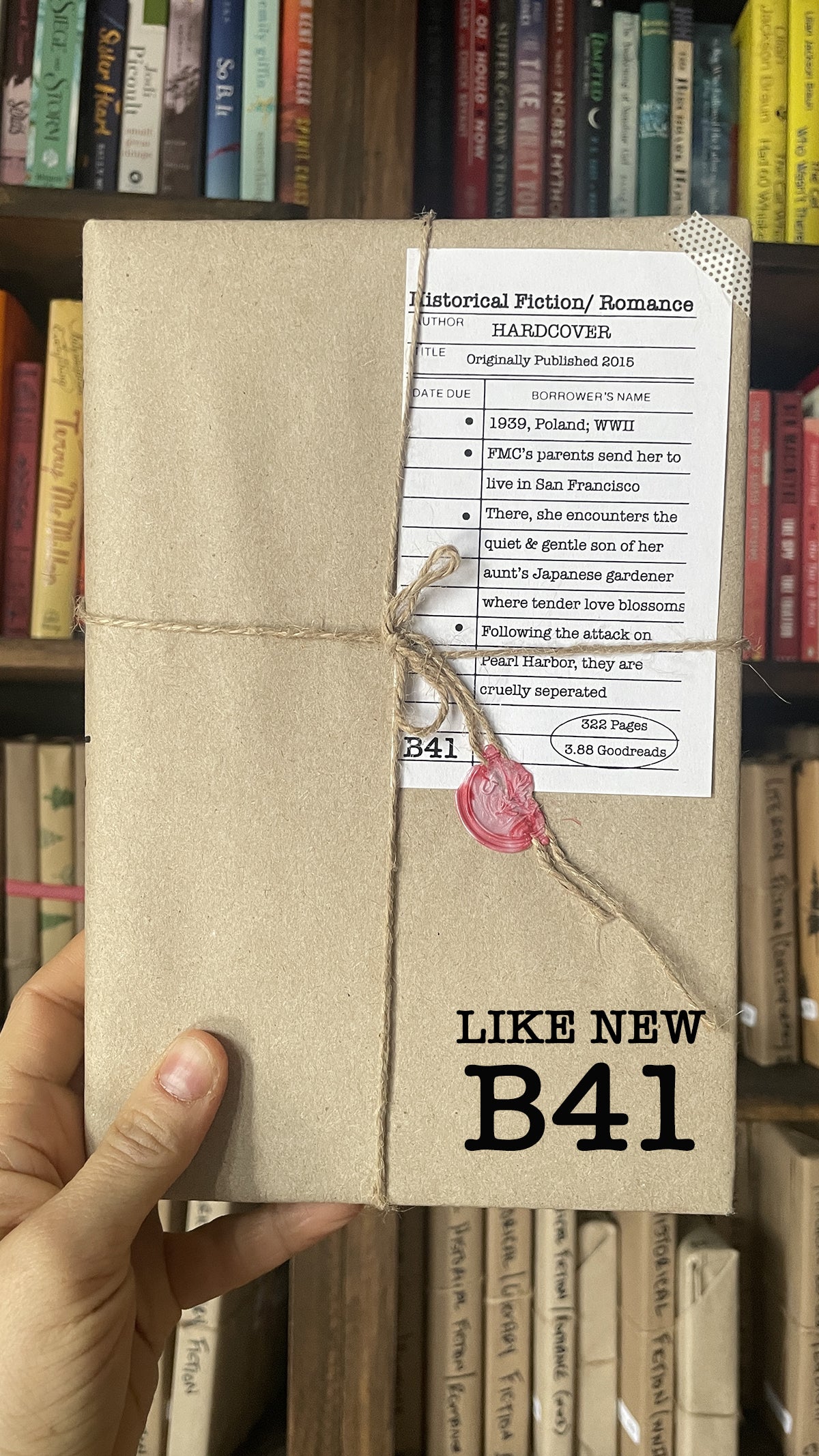 Surprise Date with a Book (Historical Fiction - WWI + WWII)