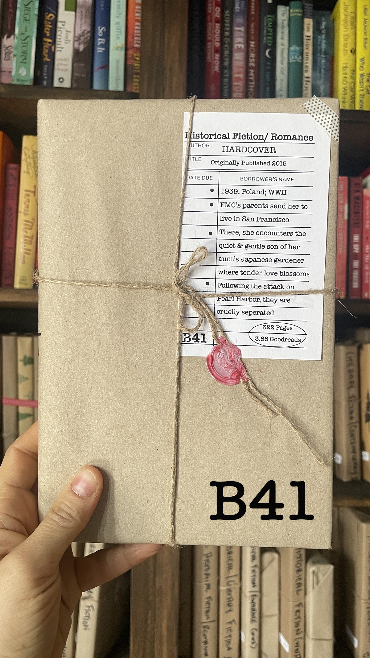 Surprise Date with a Book (Historical Fiction)