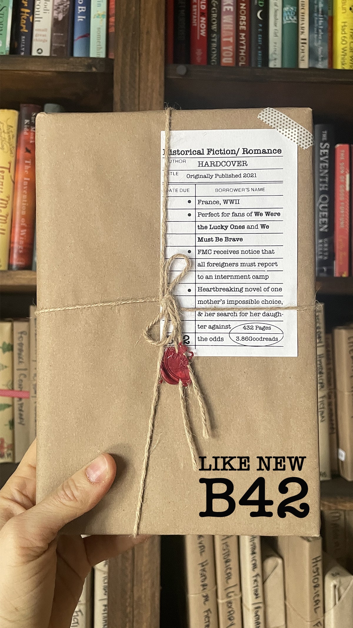 Surprise Date with a Book (Historical Fiction - WWI + WWII)