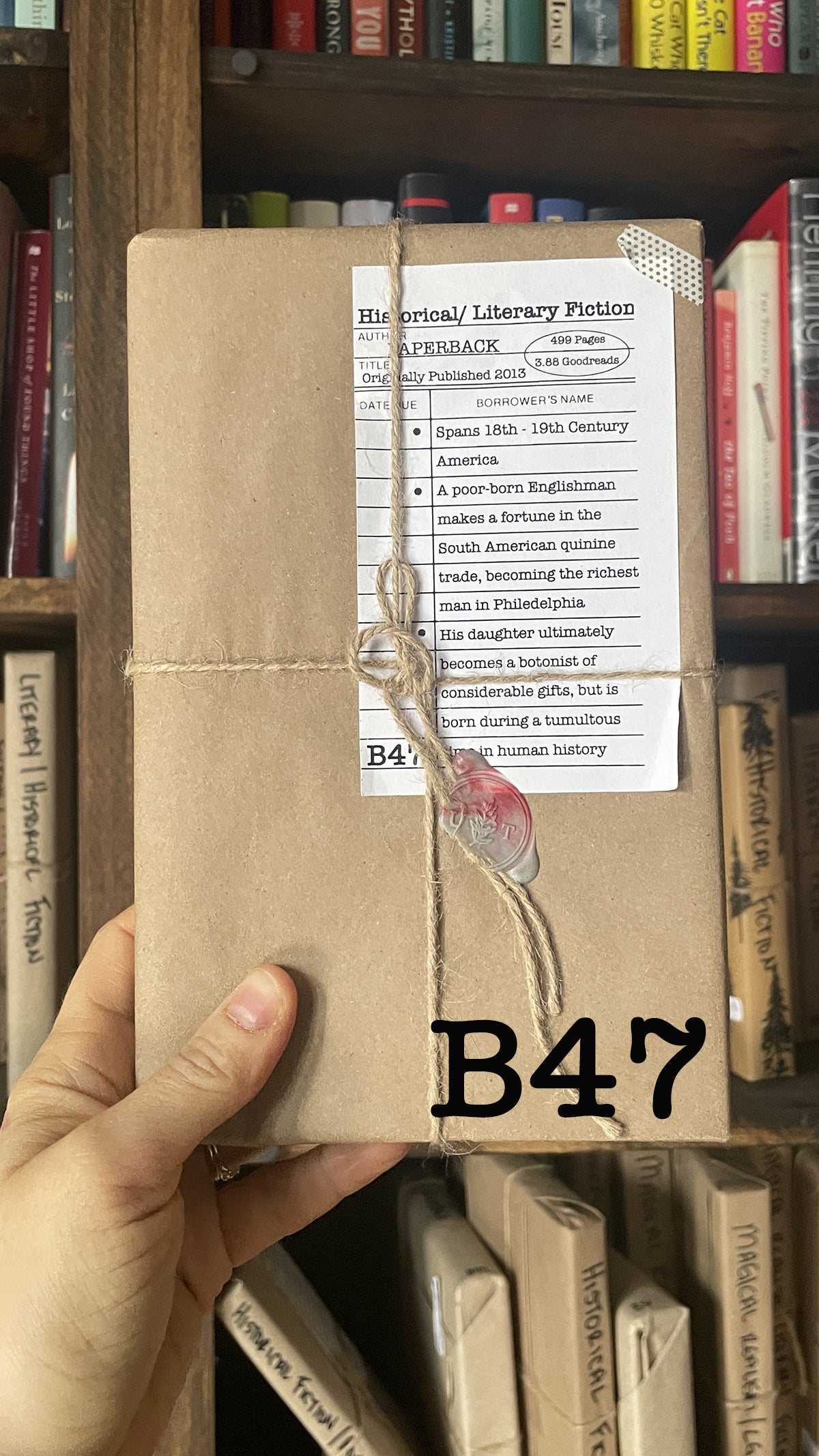 Surprise Date with a Book (Historical Fiction)