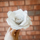 Bookish Rose - Cream