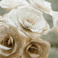Bookish Rose - Cream