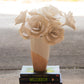 Bookish Rose - Cream