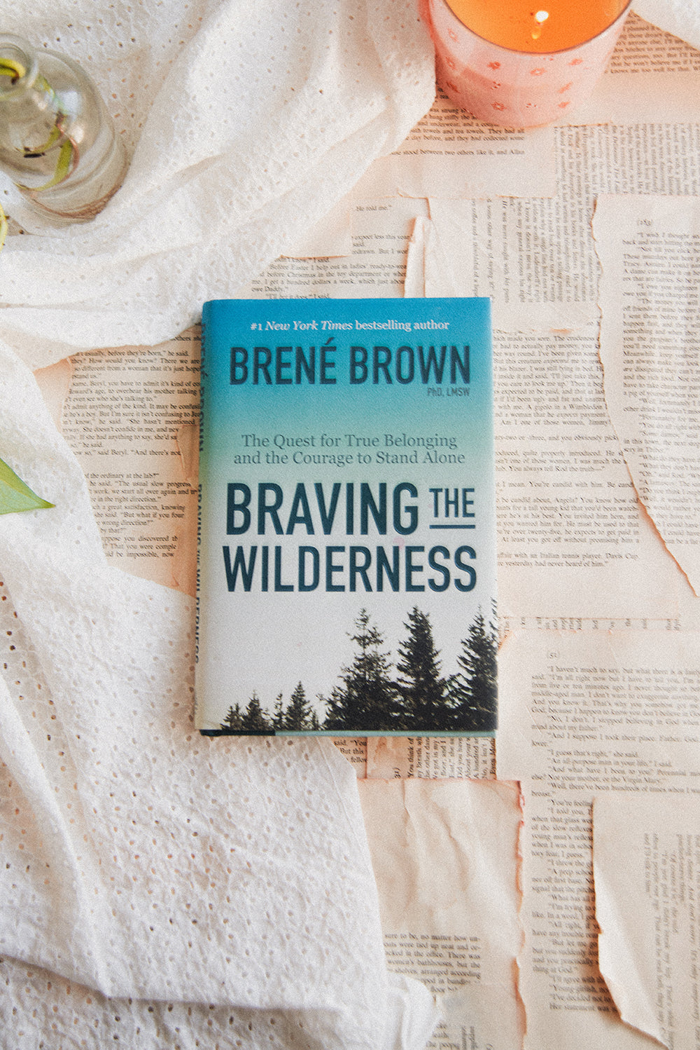 Braving the Wilderness by Brene Brown