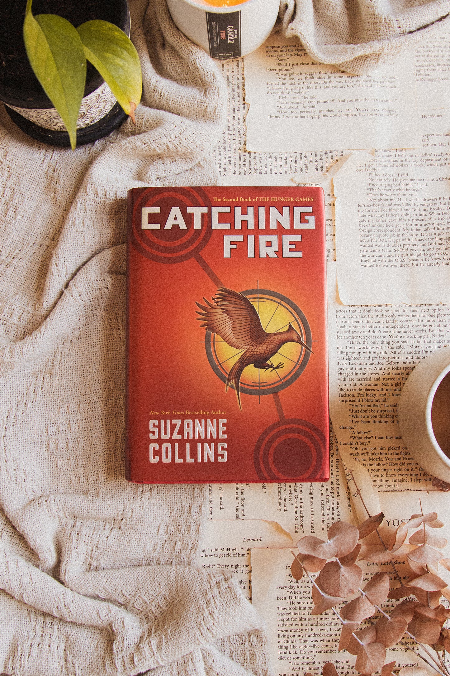 Catching Fire by Suzanne Collins