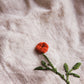 Embroidered Tea Towel