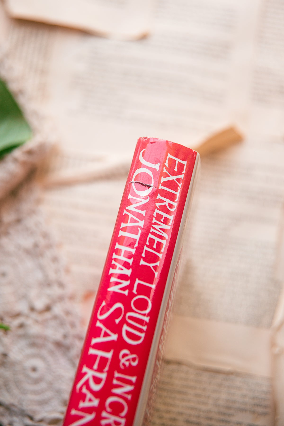 Extremely Loud & Incredibly Close by Johnathan Safran Foer