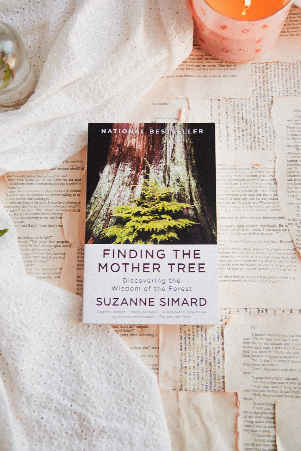 Finding the Mother Tree by Suzanne Simard