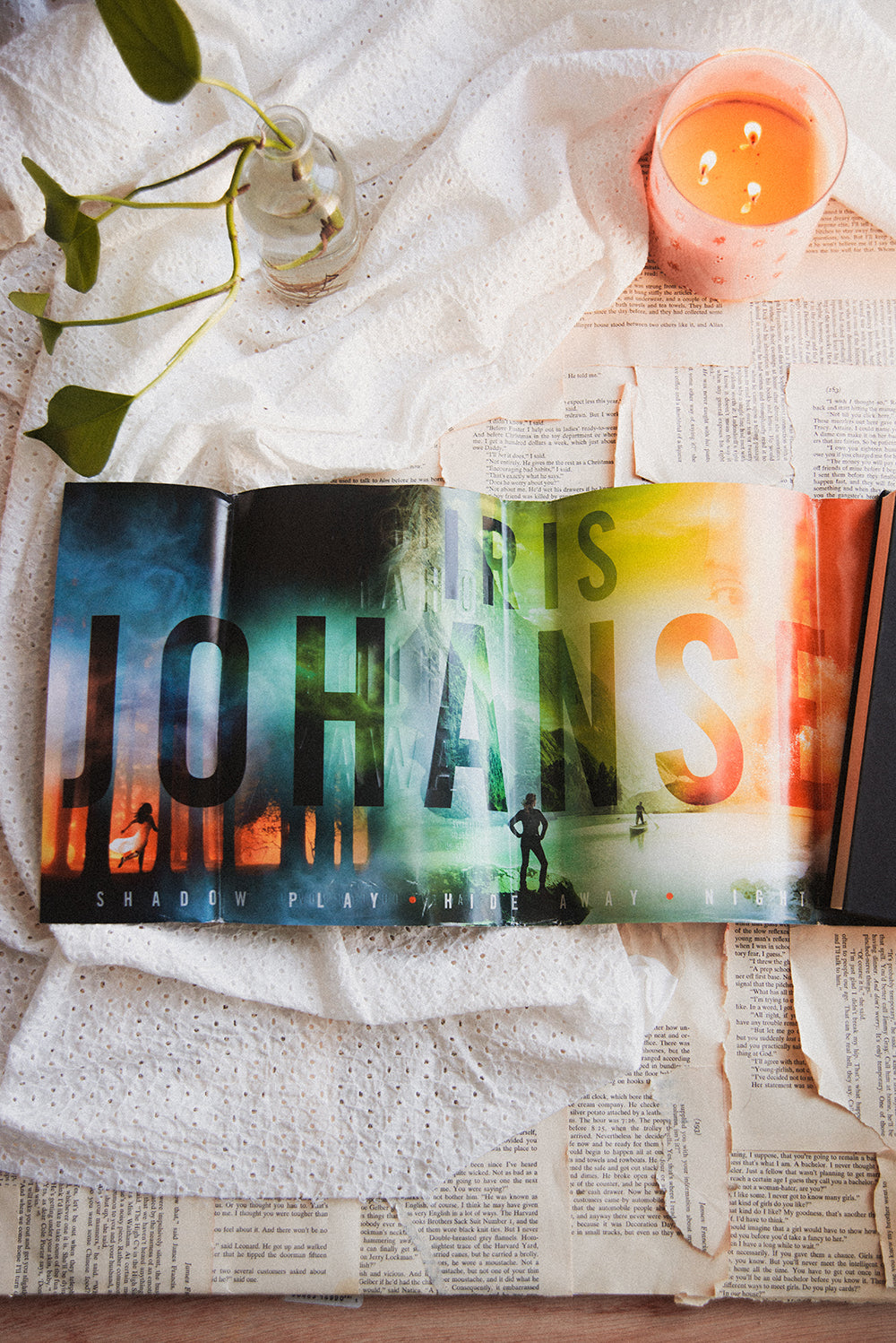 Hide Away by Iris Johansen