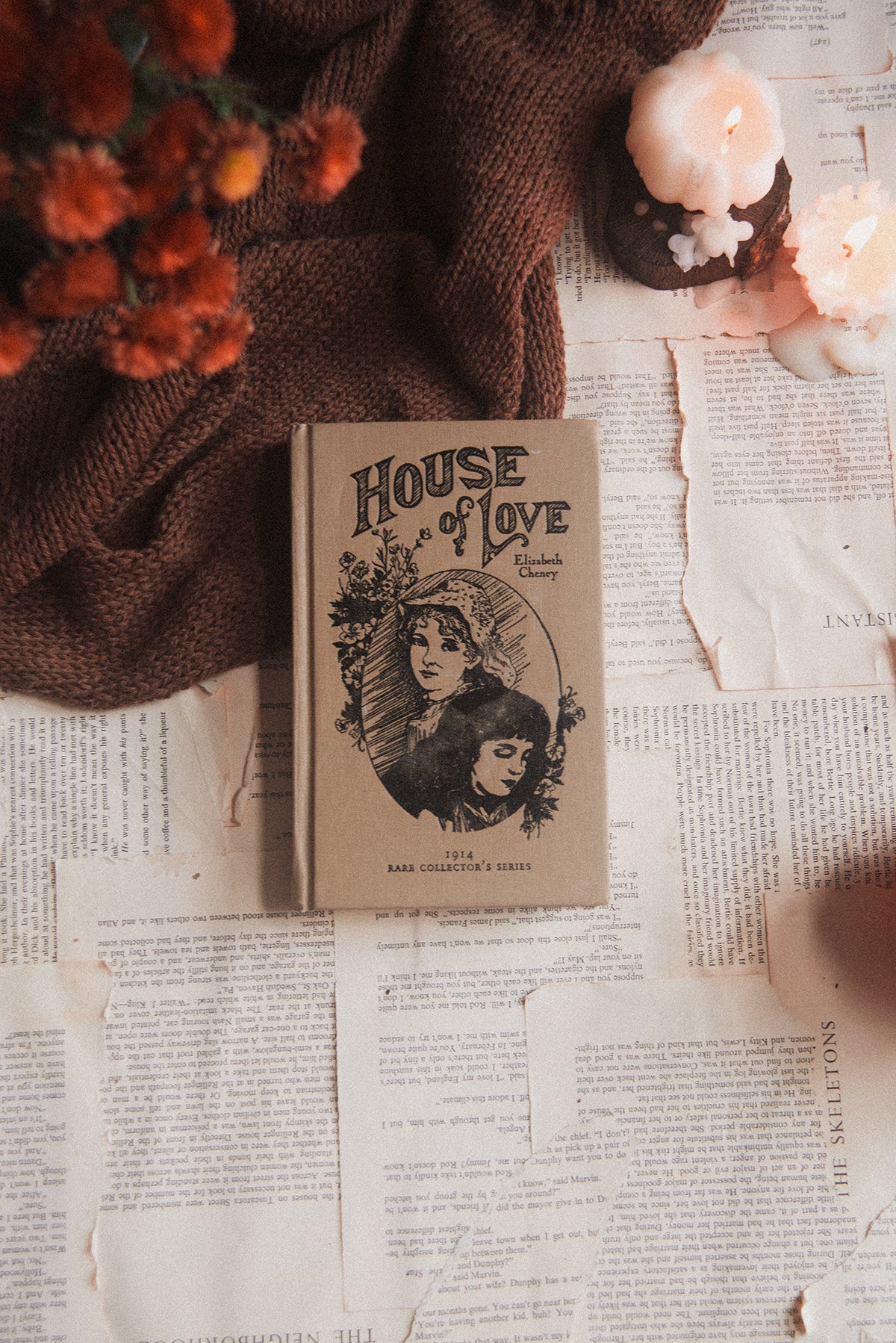 House of Love by Elizabeth Cheney